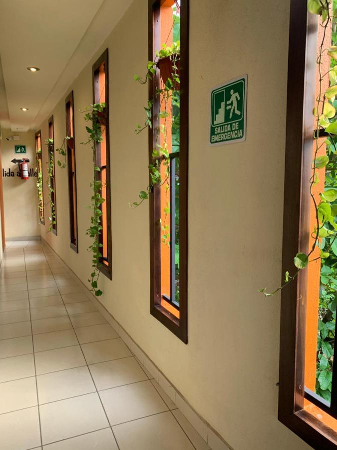 Hotel Cafenaranja Xilitla Eksteriør billede